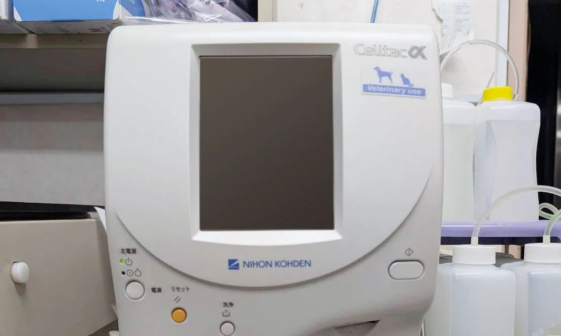 血液検査