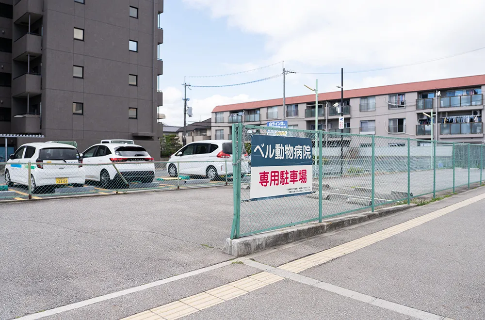 駐車場の写真その1