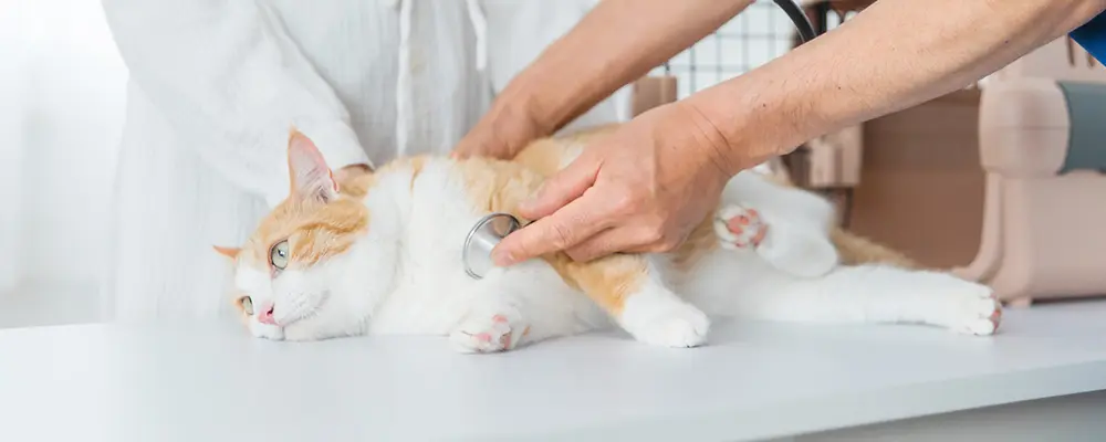 健康診断