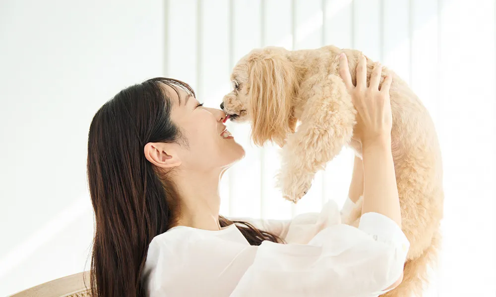 女性と猫ちゃんの写真