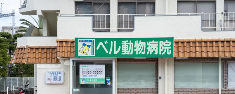 ホームページをリニューアルしました