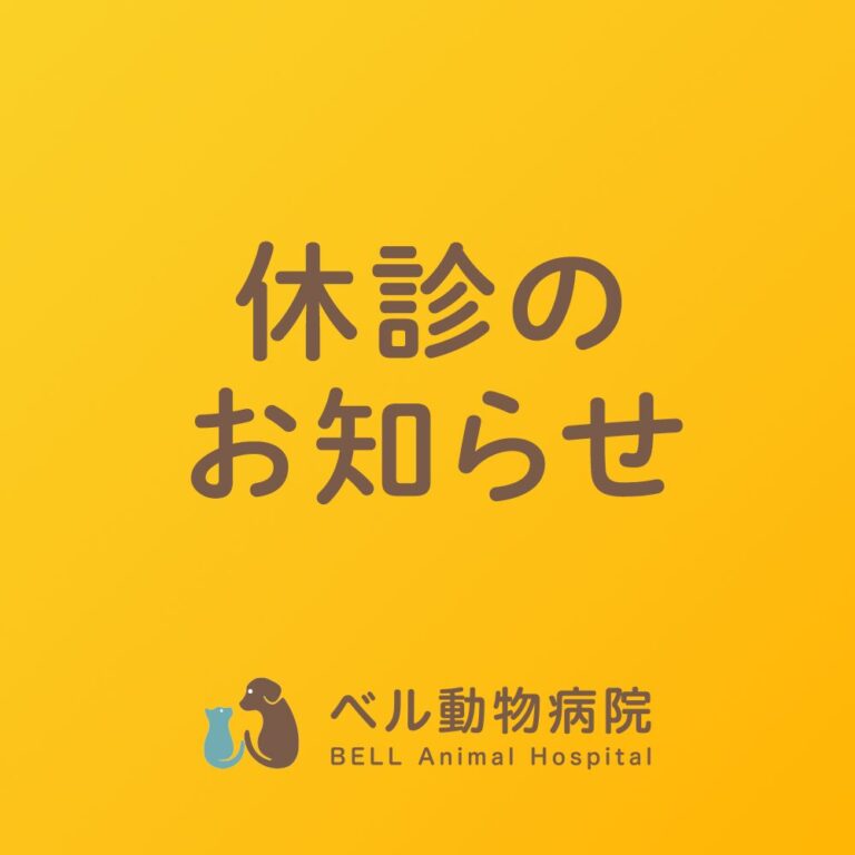 9月臨時休診のお知らせ